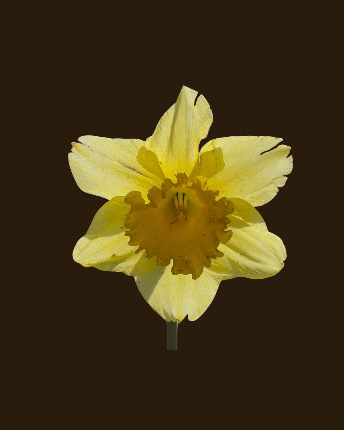 Climate Collapse is Business Collapse